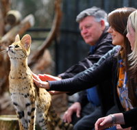 Werribee Open Range Zoo - Tourism Gold Coast