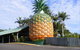 Woombye - thumb 0