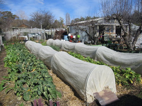 Wynlen House: Tour A Unique Urban Regenerative Farm And Market Garden - Tourism Gold Coast 0