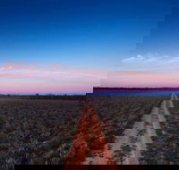 Yanga National Park - Tourism Gold Coast