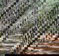 Yana-y Warruwi Walking Track - Tourism Gold Coast