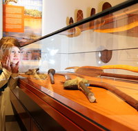 Albury Library Museum - Tourism Gold Coast