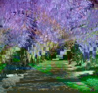 Alowyn Gardens and Nursery - Tourism Gold Coast