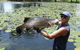 Barra Feeding - thumb 2