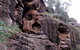 Bertha's Gully Walking Track - thumb 0