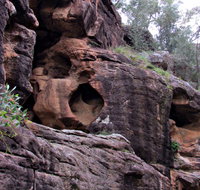 Bertha's Gully Walking Track - Tourism Gold Coast