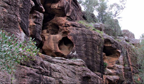 Bertha's Gully Walking Track - Tourism Gold Coast 0