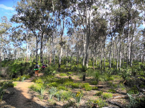 Bibbulmun Track - Tourism Gold Coast 1