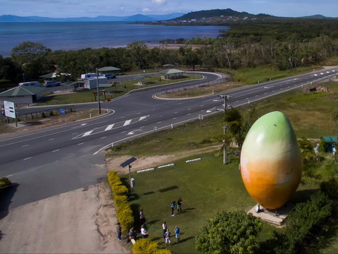 Big Mango - Tourism Gold Coast 1