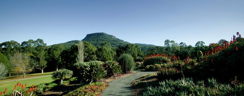 Botanic Garden, Wollongong - Gold Coast 0