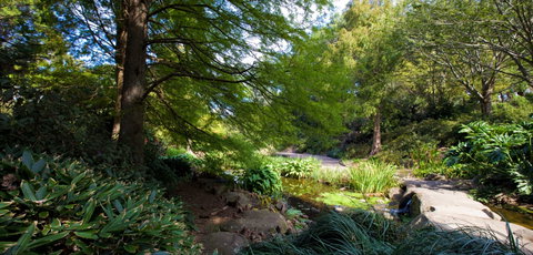 Botanic Garden, Wollongong - Gold Coast 2