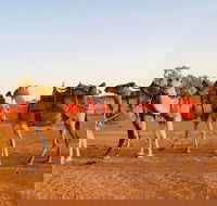 Broken Hill Camels - Tourism Gold Coast