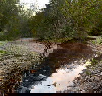 Budawang National Park - Tourism Gold Coast