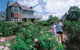 Bundaberg Botanic Gardens And Playground - thumb 1