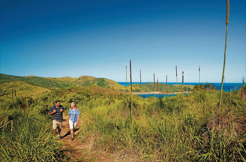 Bushwalking On Keswick Island - Tourism Gold Coast 0