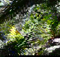 Byrrill Creek Walking Track - Tourism Gold Coast