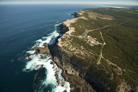 Cape Nelson State Park - Tourism Gold Coast 1