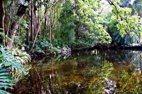 Cascade Gardens - Tourism Gold Coast 2
