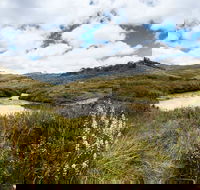Cascade Hut trail - Tourism Gold Coast