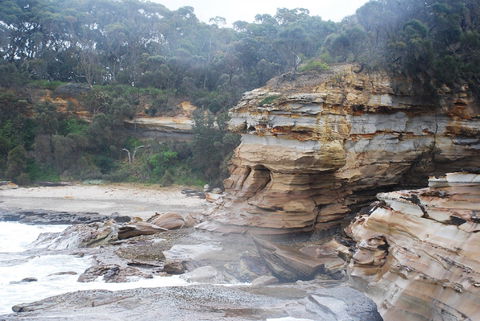 Cookies Beach Picnic Area - South Durras - Tourism Gold Coast 2