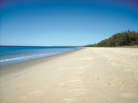 Coral Coast Pathways (Woodgate Beach Section) - Tourism Gold Coast 0