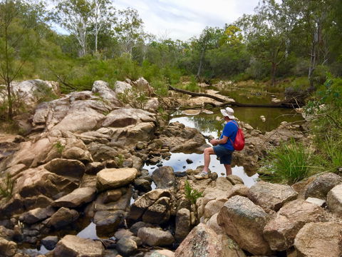 Crows Nest Falls - Tourism Gold Coast 2
