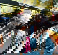 Crystal Kingdom - Tourism Gold Coast