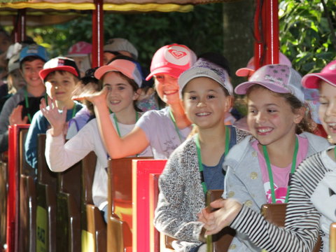 Currumbin Wildlife Sanctuary - Gold Coast 1