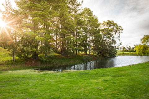Curlewis Golf Club & The Range At Curlewis The Bellarine - Tourism Gold Coast 1