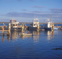 Denham - Tourism Gold Coast