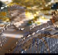 Evandale - Tourism Gold Coast