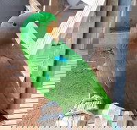 Eyre Reptile  Wildlife Park - Tourism Gold Coast