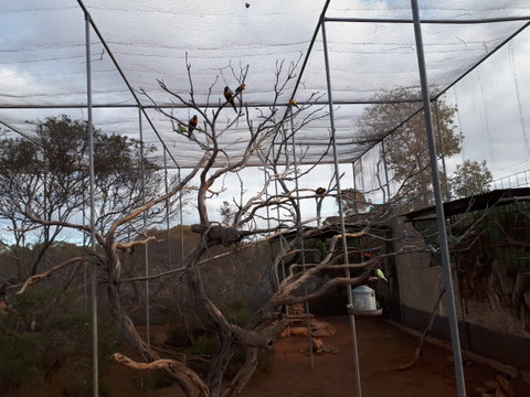 Eyre Reptile & Wildlife Park - Tourism Gold Coast 2