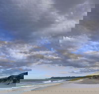 Friendly Beaches - Tourism Gold Coast