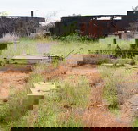 Ghans Bore No7 Govt Bore - Tourism Gold Coast