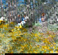 Gidgegannup - Tourism Gold Coast