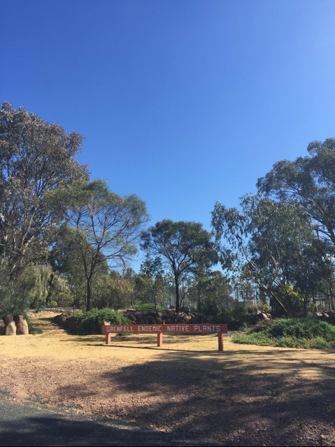 Grenfell Endemic Garden - Tourism Gold Coast 0