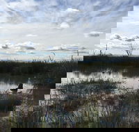 Gwydir Wetlands Moree - Tourism Gold Coast