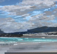 Hakea Walk Trail East Fitzgerald National Park - Tourism Gold Coast