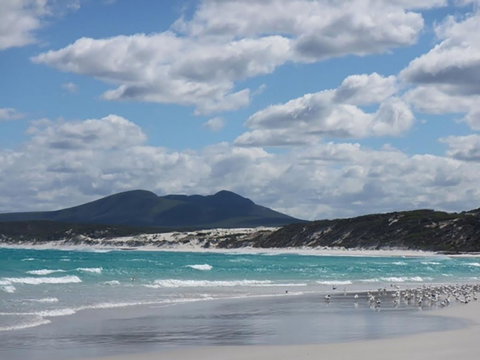 Hakea Walk Trail, East Fitzgerald National Park - Tourism Gold Coast 0