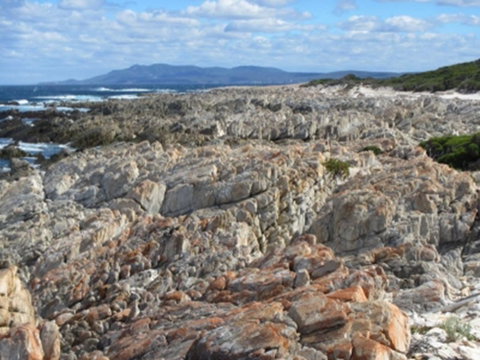 Hakea Walk Trail, East Fitzgerald National Park - Tourism Gold Coast 1