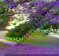 Howe Park - Tourism Gold Coast