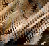 Jillabenan Cave - Tourism Gold Coast