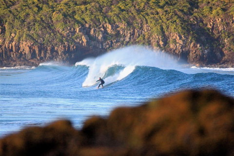 Killalea Reserve - Gold Coast 1