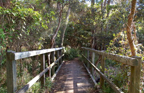 Lake Macquarie State Conservation Area - Tourism Gold Coast 1
