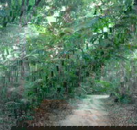 Lawn Hill - Tourism Gold Coast