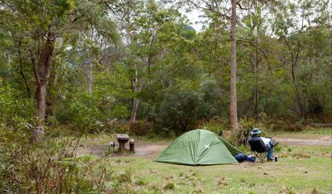 Long Gully Picnic Area - Tourism Gold Coast 0