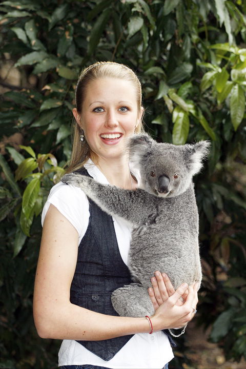 Lone Pine Koala Sanctuary - Tourism Gold Coast 1