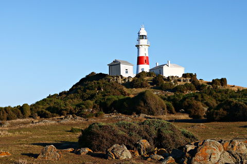 Low Head Foghorn - Tourism Gold Coast 1