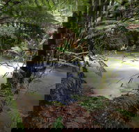 Marriotts Falls and Junee Caves - Tourism Gold Coast